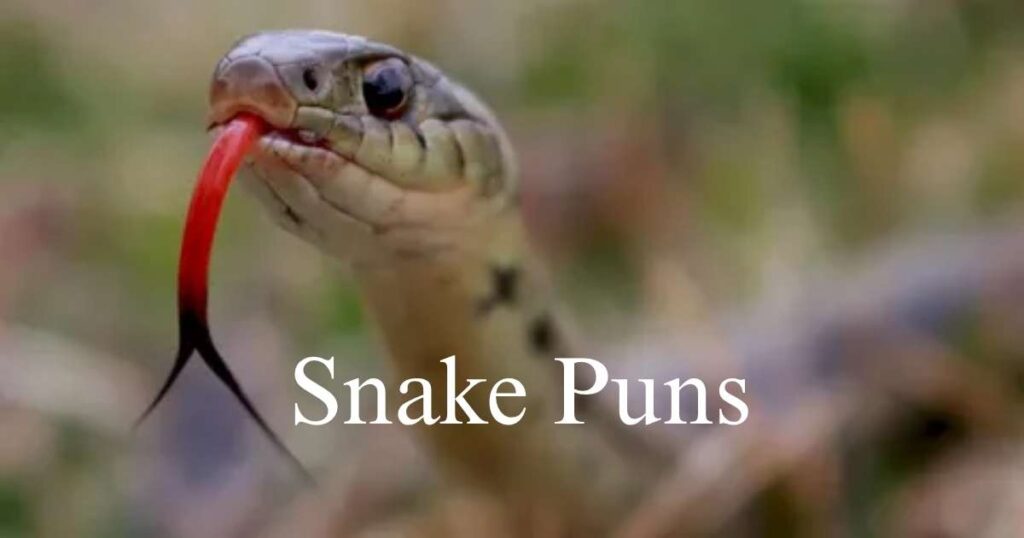 Snake Puns