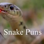 455 Python Snake Puns: Short, Cute & Funny One-Liners