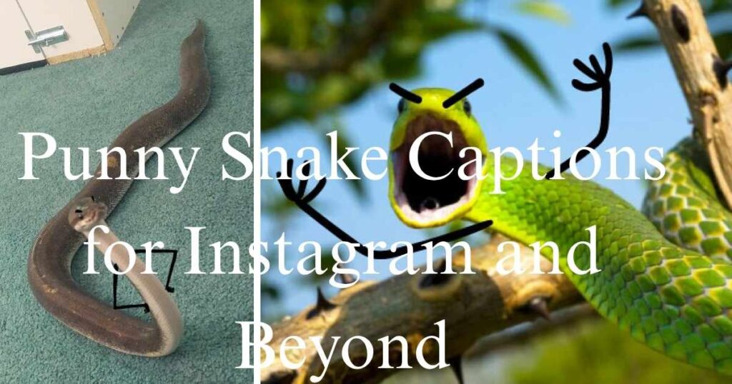 Punny Snake Captions for Instagram and Beyond