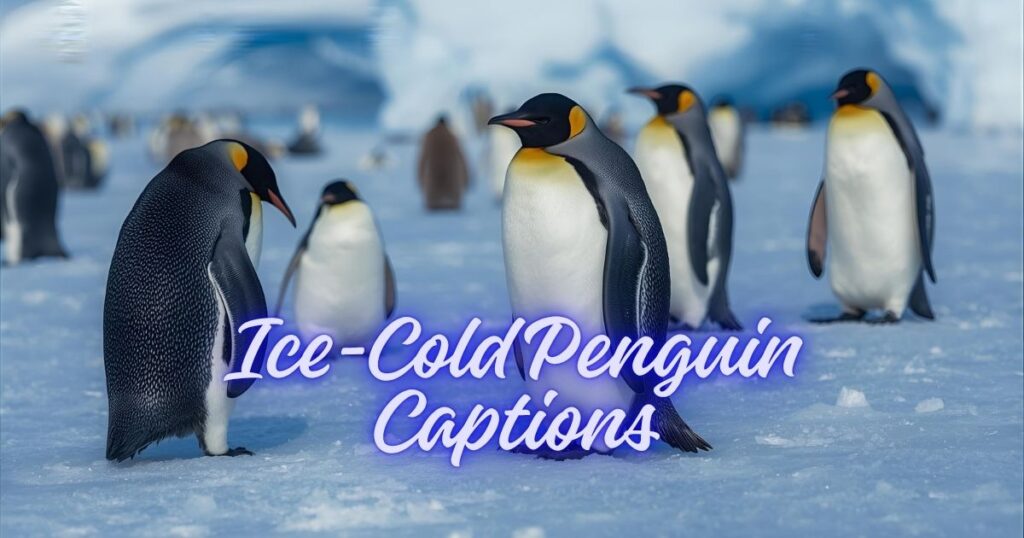 Ice-Cold Penguin Captions