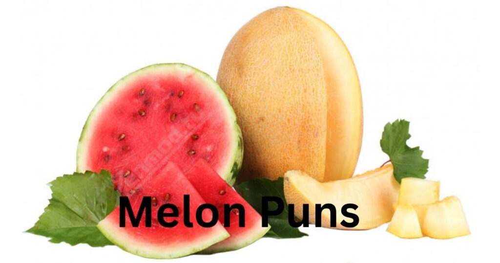 Melon Puns