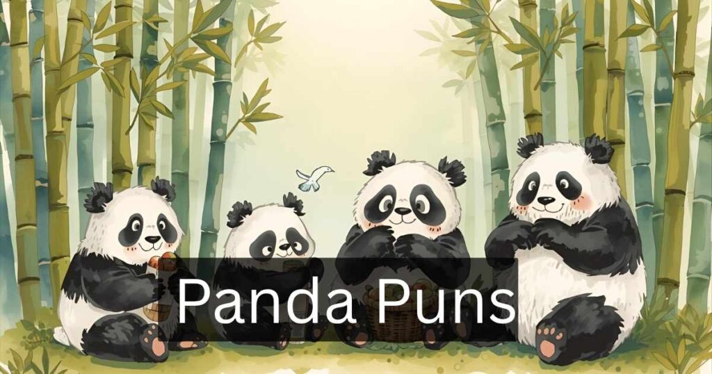 Panda Puns
