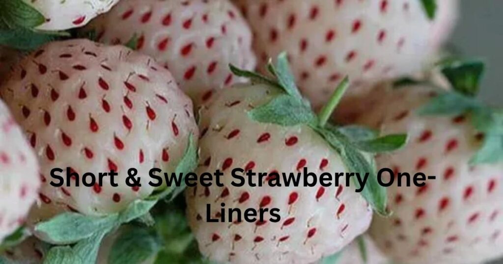 Short & Sweet Strawberry One-Liners