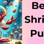 315 Shrimp Puns & Jokes: Funny One-Liners For Instagram Captions
