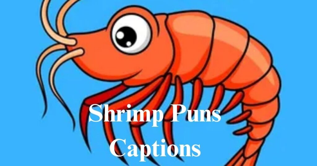 Shrimp Puns Captions