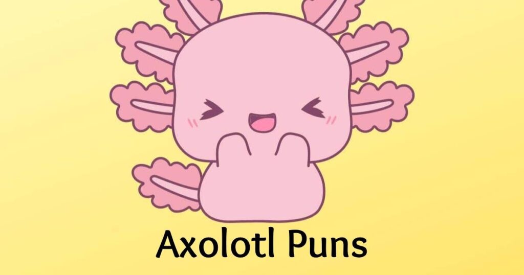 Axolotl Puns