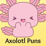 256 Axolotl Puns: Short Cute One Liner Jokes For Captions