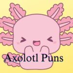 255 Axolotl Puns: Short Cute One Liner Jokes For Captions