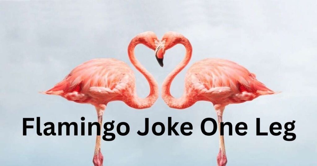 Flamingo Joke One Leg