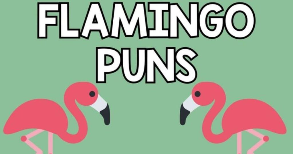 Funny Flamingo Puns