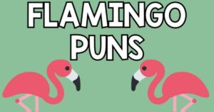 300 Funny Flamingo Puns & One Liners: Instagram Captions for Kids & Adults