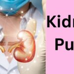 270 Kidney Puns: Short Funny & One Liner Captions