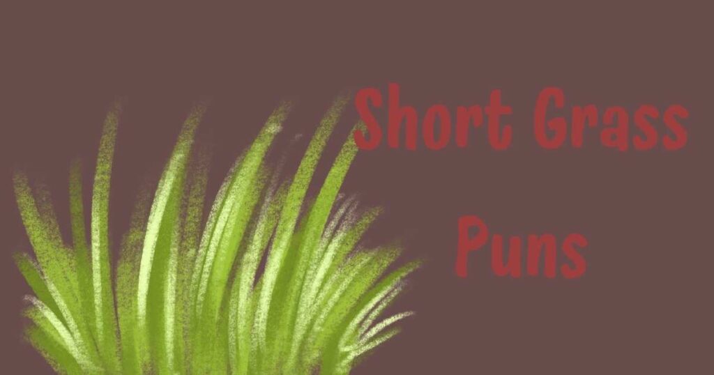 Short Grass Puns