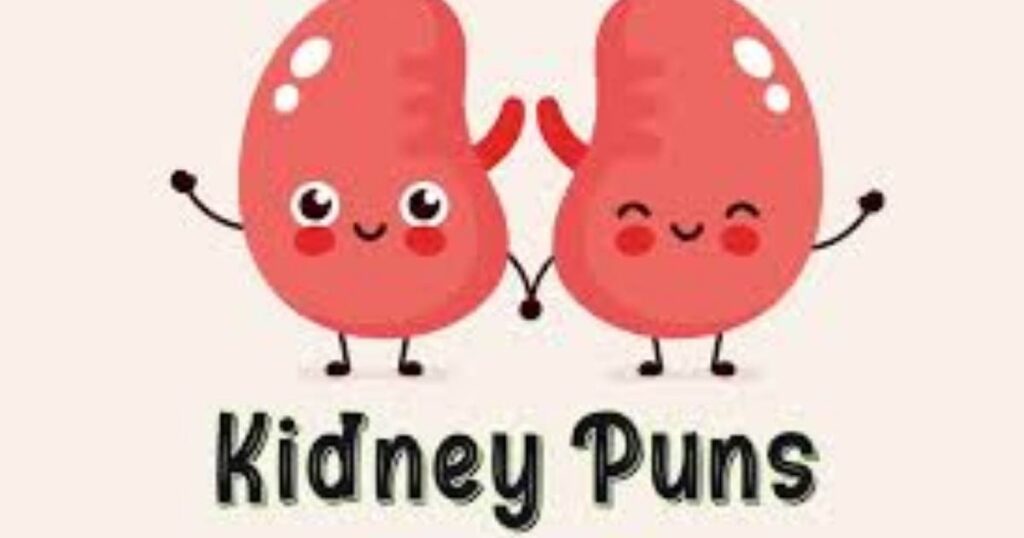 💧 Kidney Puns One Liners